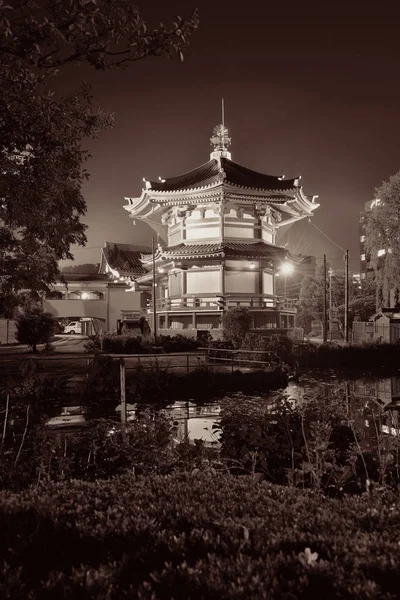 Parc Ueno Nuit Tokyo Japon — Photo