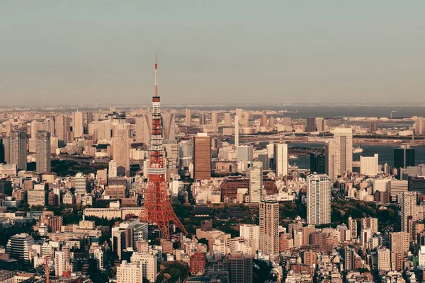 東京タワーと都心のスカイライン屋上からの眺め — ストック写真