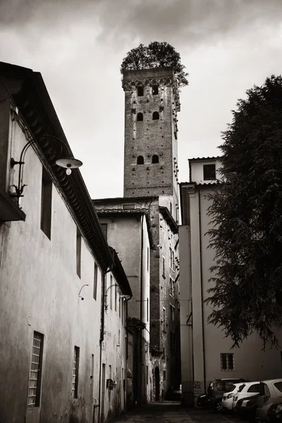 Vista Calle Lucca Con Torre Alberata Italia — Foto de Stock