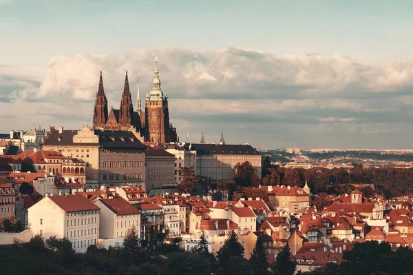 Prager Burg Mit Veitsdom Tschechien — Stockfoto