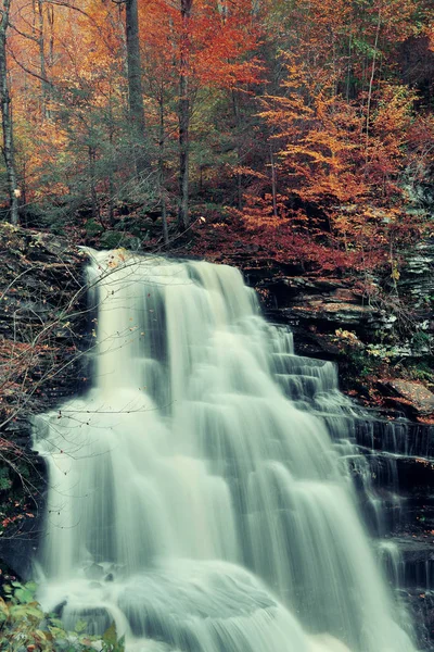 秋天的瀑布落在绿叶斑斓的公园里 — 图库照片
