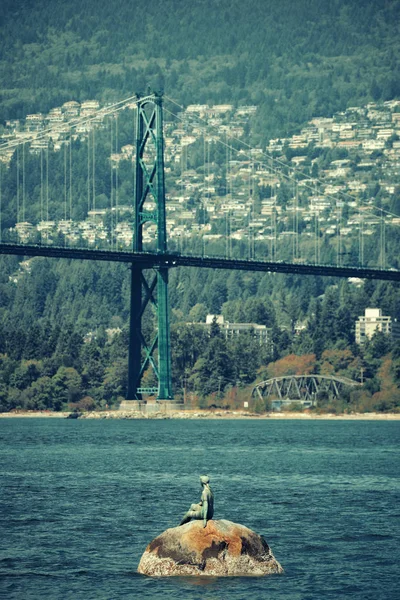 Vancouver Chica Una Escultura Traje Neopreno Lions Gate Bridge Sobre —  Fotos de Stock