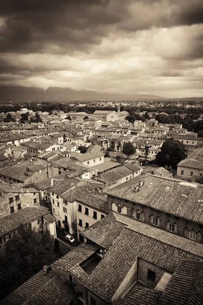 Lucca Vista Azotea Con Techos Rojos Edificios Históricos Cordillera Italia —  Fotos de Stock