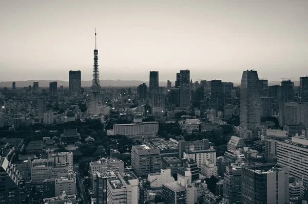 日本东京塔楼和城市天窗的夜景 — 图库照片