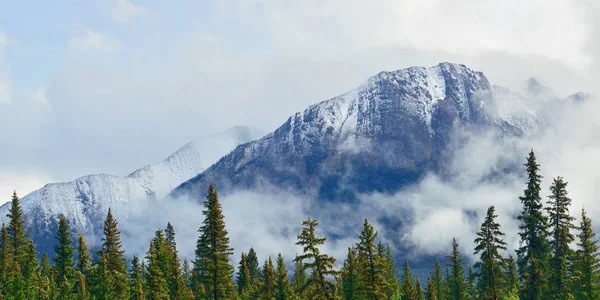 Panorama Vista Del Parque Nacional Banff Con Montañas Niebla Bosque — Foto de Stock
