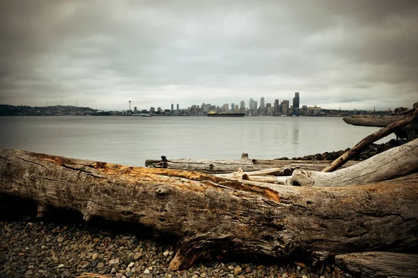 Seattle Stad Skyline Uitzicht Zee Met Stedelijke Architectuur Boom Log — Stockfoto