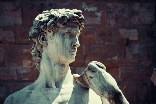 Duplicato David Michelangelo Palazzo Vecchio Firenze — Foto Stock