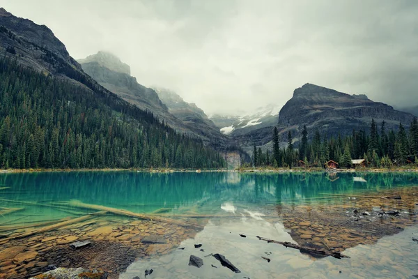 Jezero Hara Nábřeží Kabina Yohu Národní Park Kanada — Stock fotografie