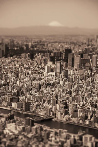 Toit Urbain Tokyo Avec Vue Sur Mont Fuji Japon — Photo