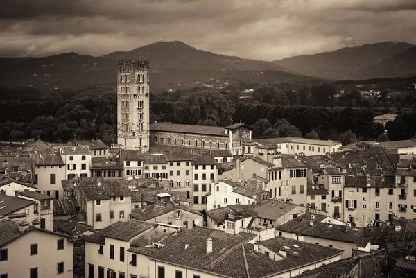 Lucca Skyline Avec Tour Cathédrale Italie — Photo