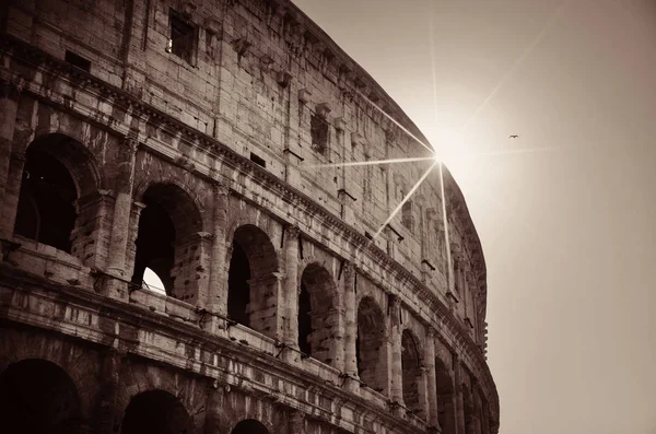 Colosseum Rom Vid Soluppgången Svart Och Vitt — Stockfoto