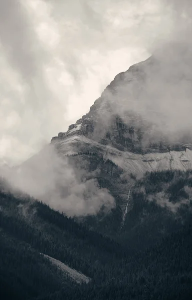 Banff Nationalpark Neblige Berge Und Wälder Kanada — Stockfoto