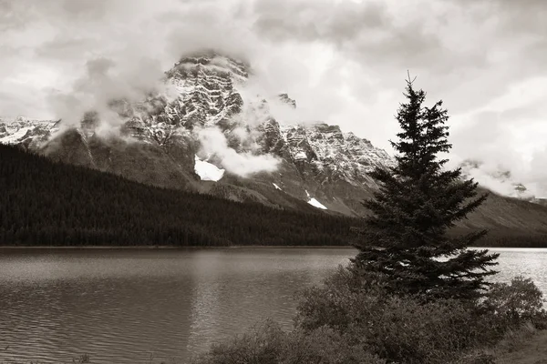 Βουνά Και Δάσος Στο Bow Lake Ομίχλη Στο Banff National — Φωτογραφία Αρχείου