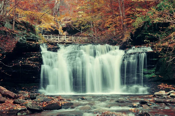 Autumn Waterfalls Park Colorful Foliage — Stock Photo, Image