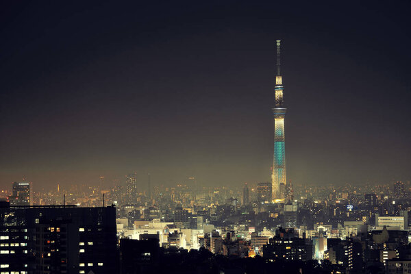 Tokyo Skytree and urban skyline rooftop view at night, Japan.
