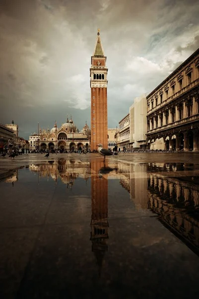 Bell Tower Historical Buildings Reflection Piazza San Marco Venice Italy — Stock Photo, Image