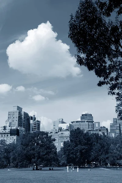 Central Park Lkbaharı Manhattan Şehir Merkezinde Ufuk Çizgisi Olan New — Stok fotoğraf