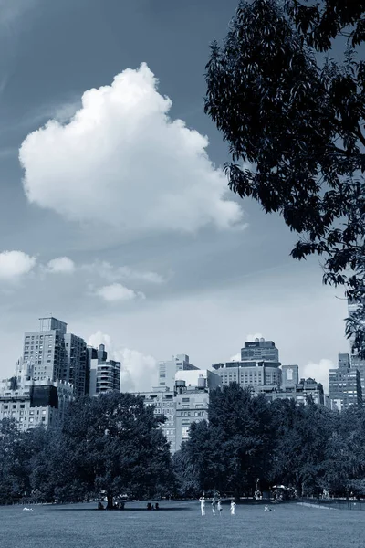 Central Park Spring Panoramą Centrum Manhattanu Nowy Jork — Zdjęcie stockowe