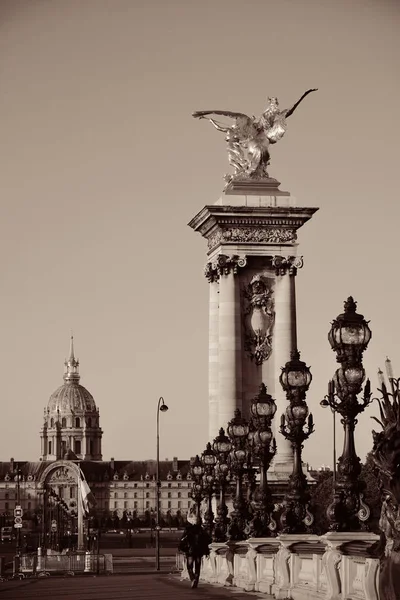 Alexandre Köprüsü Heykel Klasik Lamba Direğiyle Paris Fransa — Stok fotoğraf