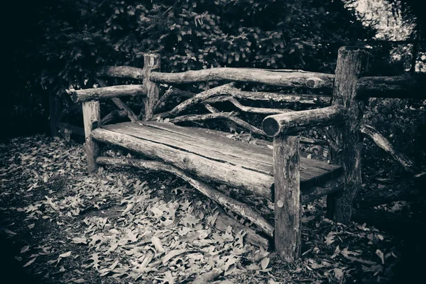 Midtown Manhattan New York City Central Park sonbahar tezgah