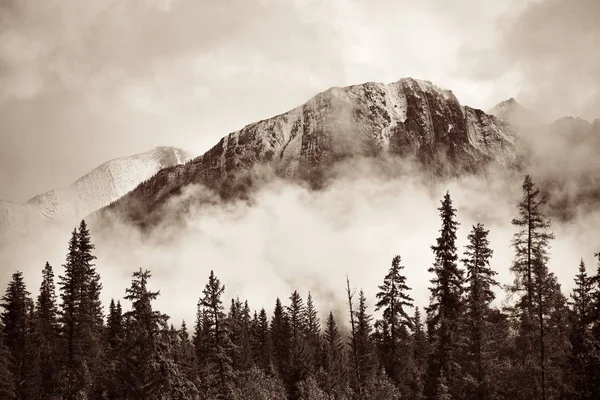 Εθνικό Πάρκο Banff Ομιχλώδη Βουνά Και Δάση Στον Καναδά — Φωτογραφία Αρχείου