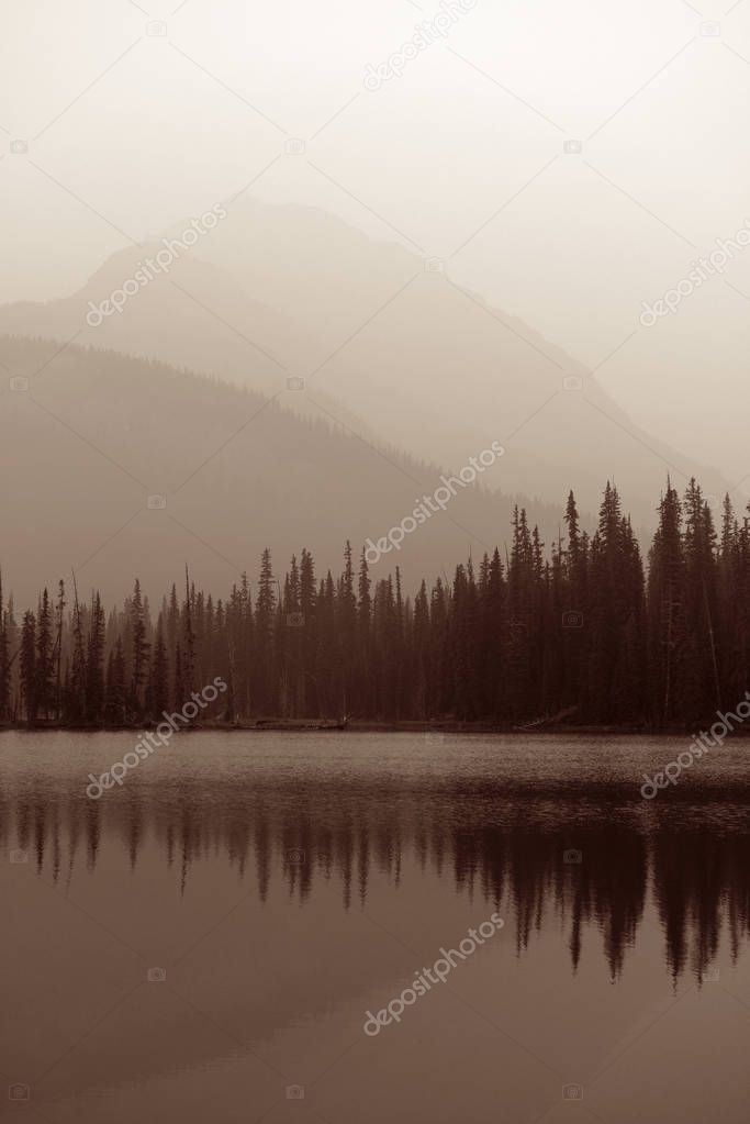 Foggy mountain lake and forest in Banff National Park