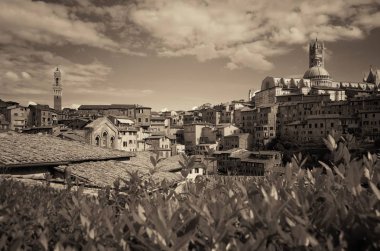 Tarihi binaları olan Siena Katedrali ve Torre del Mangia Çan Kulesi. İtalya