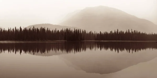 Munte Pădure Peste Lac Reflecții Într Cețoasă — Fotografie, imagine de stoc