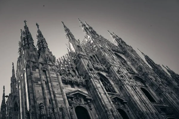 Миланский Собор Крупным Планом Красивой Скульптурой Италии — стоковое фото