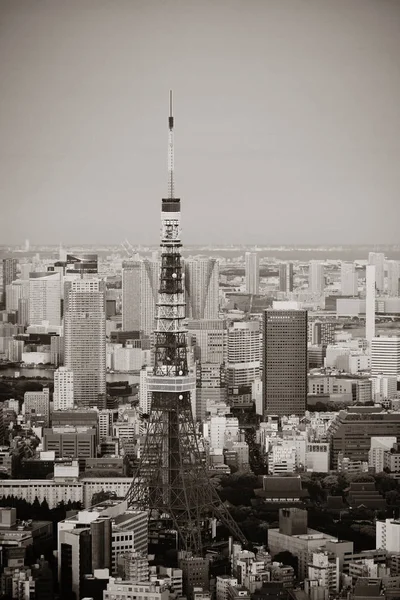東京タワーと都心のスカイライン屋上からの眺め — ストック写真