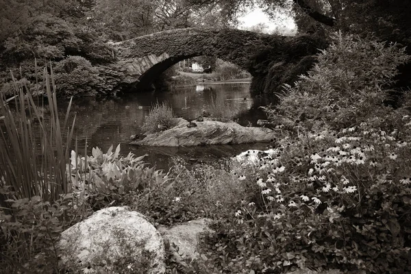桥在美国纽约市曼哈顿中城的中央公园春天 — 图库照片