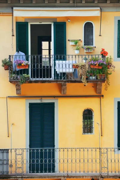 Ciudad Medieval Lucca Con Edificios Históricos Italia — Foto de Stock