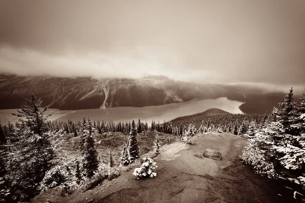 Jezioro Peyto Zimą Śniegiem Parku Narodowym Banff Kanada — Zdjęcie stockowe