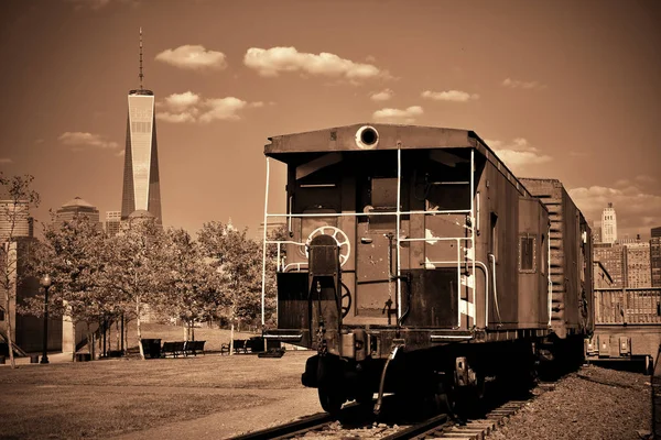 Train Centre Manhattan Dans Parc — Photo