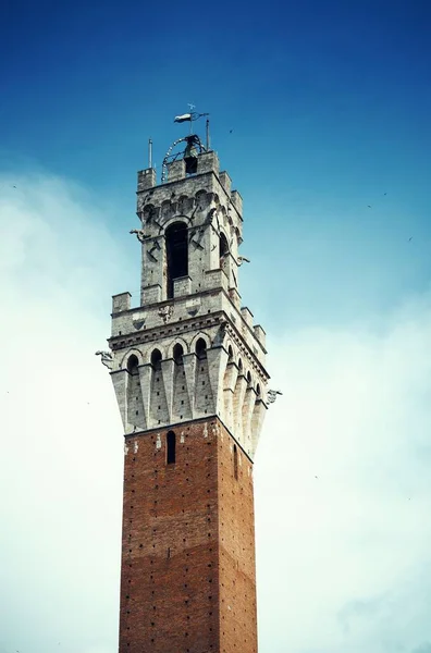 Ayuntamiento Campanario Primer Plano Siena Italia —  Fotos de Stock