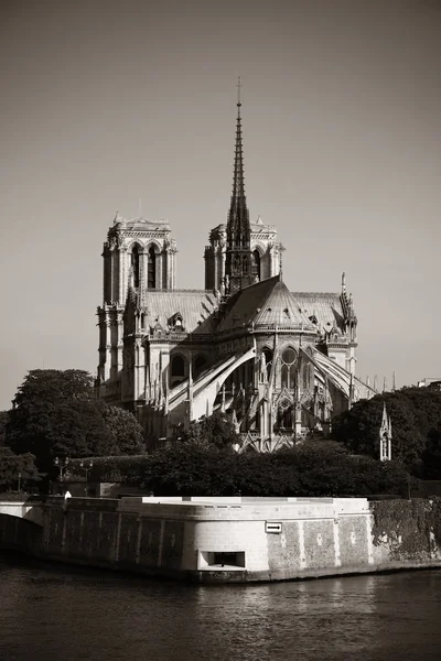 Paris Floden Seine Med Notre Dame Katedralen Frankrike — Stockfoto