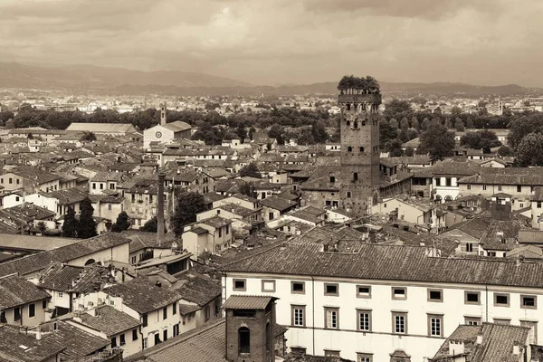 Lucca Skyline Met Toren Kathedraal Italië — Stockfoto