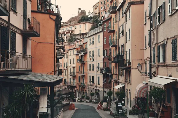 Calle Principal Con Restaurantes Tiendas Riomaggiore Cinque Terre Italia — Foto de Stock