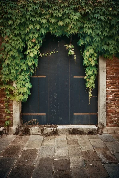 Uma Porta Coberta Por Folhas Edifícios Históricos Veneza Itália — Fotografia de Stock