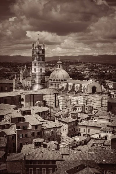 Talya Siena Katedrali Ufuk Çizgisi Manzaralı Ortaçağ Kasabası — Stok fotoğraf