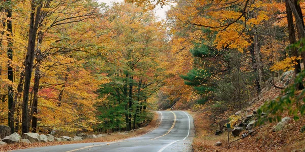 秋天五彩斑斓的树叶和自然景观全景 — 图库照片
