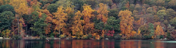 秋天五彩斑斓的树叶 湖面反射全景 — 图库照片