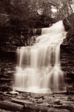 Siyah beyaz şelaleler