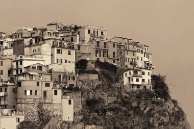 İtalya 'nın Cinque Terre kentindeki Manarola uçurumunda İtalyan tarzı yerleşik binalar..
