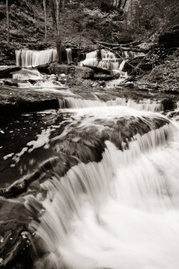 Siyah beyaz şelaleler