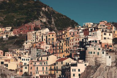 Cinque Terre 'deki Manarola binaları 