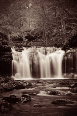 Siyah beyaz şelaleler