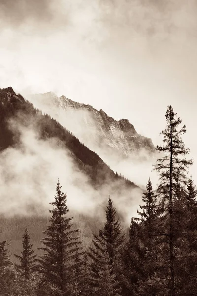 Parc National Banff Montagnes Brumeuses Forêt Canada — Photo