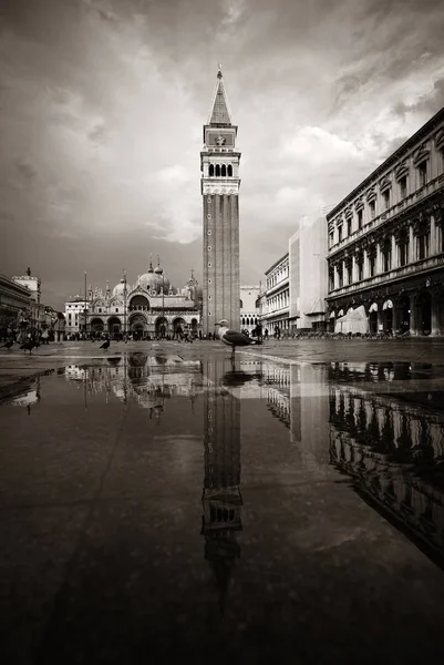 Torre Sino Edifícios Históricos Reflexão Piazza San Marco Veneza Itália — Fotografia de Stock