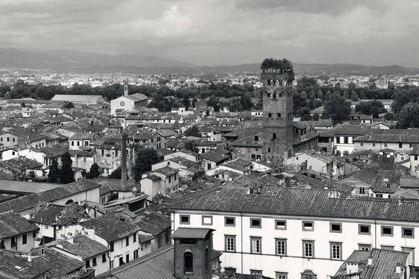 Skyline Lucca Con Torre Catedral Italia — Foto de Stock
